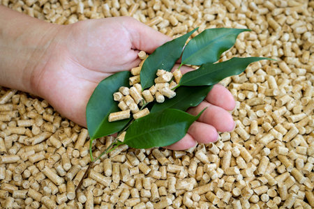 Wood pellets. Biofuels, an alternative biofuels from wood chips and green leaves in a female hand.の写真素材