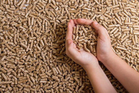 Biofuels. Alternative biofuel from sawdust , wood pellets in hand. The cat litter.