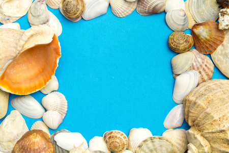 Concept of the summer with sea shells on the blue color paper texture background. Template, summer card .The view top. Copy space.の写真素材