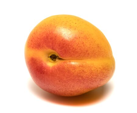 apricot lies on a white backgroundの写真素材