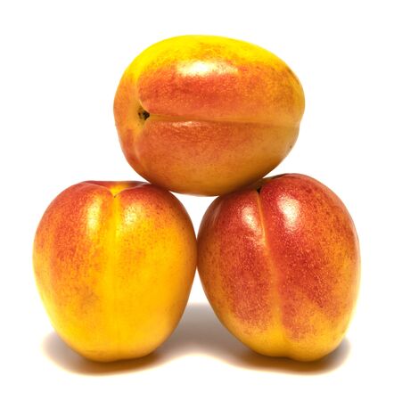 several apricots beautifully laid on a white backgroundの写真素材