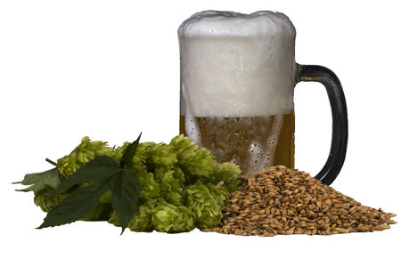 Malt, hops and beerの写真素材
