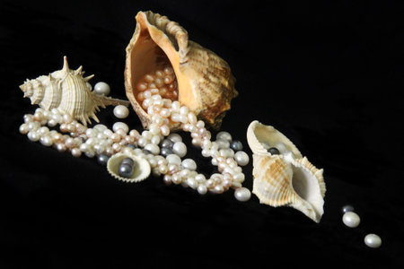 Sea cockleshells and pearls on a black background.