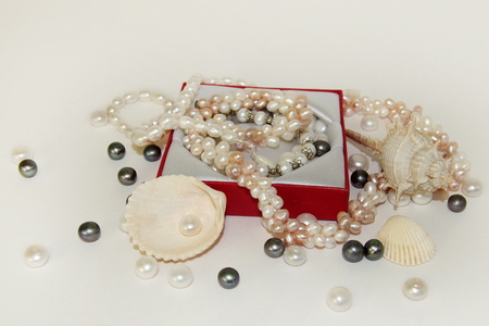 Sea cockleshells and pearls on a black background.の写真素材
