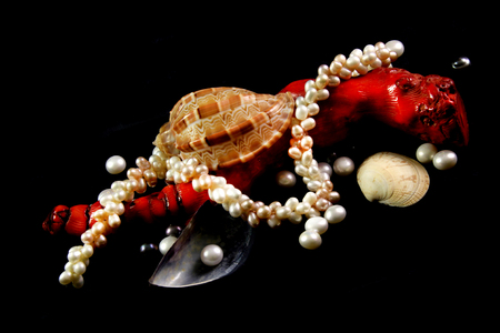 Beautiful pearl necklace, red coral, pearls and shells on a black velvet backgroundの写真素材