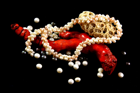 Beautiful pearl necklace, red coral, pearls and shells on a black velvet backgroundの写真素材