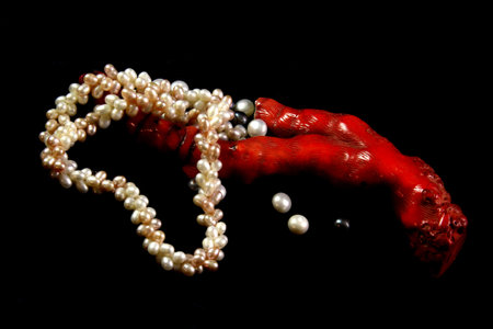 Beautiful pearl necklace, red coral, pearls and shells on a black velvet backgroundの写真素材