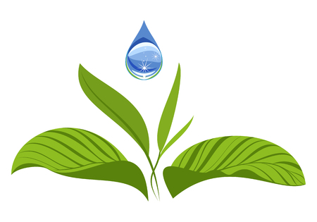 Water drop with green leaves. Ecology concept. Vector illustration isolated on white background.のイラスト素材