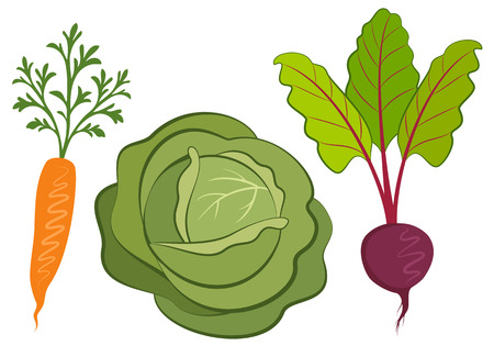 Set of vegetables hand drawn illustrations. Decorative retro style collection, vector outline and silhouette.のイラスト素材