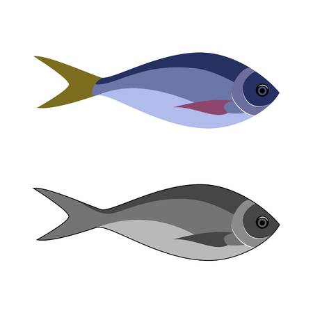 Sea and ocean fish icon.のイラスト素材