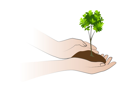 Hands holding plant icon.のイラスト素材