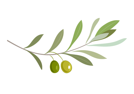 Olive branch with leaves and olives. Olive oil label or icon for farm store or market.のイラスト素材