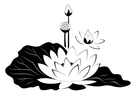 Lotus flower with leaves black silhouette. Poster with water lily vector illustration isolated on white background.のイラスト素材