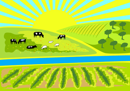 Rural landscape with vineyard, an olive grove and pasture with grazing cows and sheep. Rural sunrise landscape for farm, store or market. Milk, dairy, farm product design element.のイラスト素材