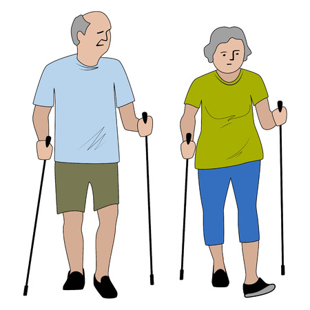 Senior couple do nordic walking in the park. Retirees with nordic sticks isolated vector illustration.のイラスト素材