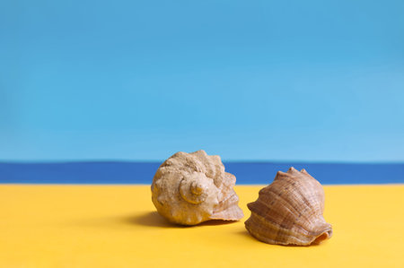 Sea shells on beach over seascape background. Summer concept with free space for text.