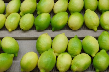 Fresh limes fruits on the shelf in the supermarket.の写真素材
