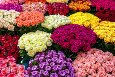 Flower background top view. Multicolored bouquets of roses sale in flower shop.の写真素材