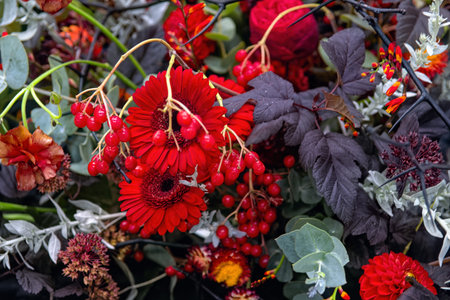 Beautiful autumn flower composition of red gerbera, hypericum and rowan berries and bladderwort...