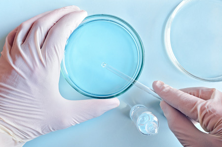 Chemical research in Petri dishes on blue background. Researcher preparing color plates in a microbiology laboratory. Hand of a technician inoculating plates.の写真素材