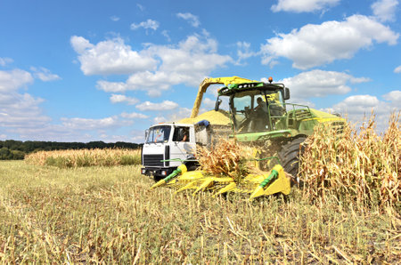 Mikhailovka, Ukraine - August 25: Self-Propelled Forage Harvester John Deere 8300 and truck. Harvesting maize and processing in forage in the field near the village Mikhailovka, Central Ukraine August 25, 2017のeditorial素材