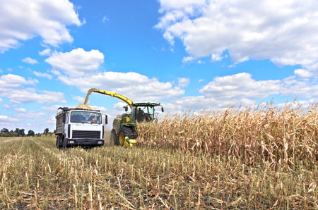 Mikhailovka, Ukraine - August 25: Self-Propelled Forage Harvester John Deere 8300 and truck. Harvesting maize and processing in forage in the field near the village Mikhailovka, Central Ukraine August 25, 2017のeditorial素材