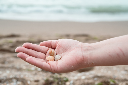 Hands holding sea shells on sea background. Seashells are in women's palms. Relaxation at sea in countries with cold climates. Beach vacation concept of freedom and travel. Close-up.の写真素材