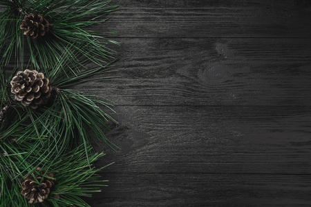 Black wood background, with pine branches and pine cones from one side, top viewの写真素材