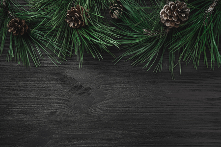 Black wood background with pine branches and pine cones from the top, top viewの写真素材