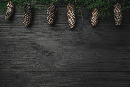 Black wood background, with fir branches and top cones, top view