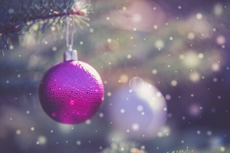 New year toys and Christmas. Fir toy in the form of a purple ball, stuck on a fir branch and among a lot of flakes. Congratulations for the winter holidays.の写真素材