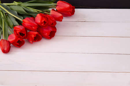 Red tulips on white wood table with copy space for text. Spring flowers for Easter, mother's day and any other holidayの写真素材