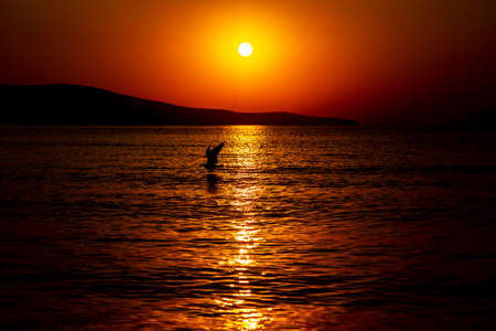 Flying seagull above sea in the morning, at sunrise. Seashore landscape, the sun rises and shines in the seaの写真素材