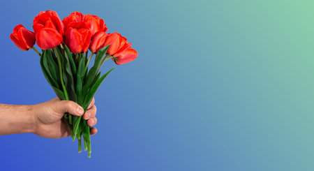 Beautiful bouquet of red tulips in a male hand. Man gives spring flowers. Greeting card for Easter,...