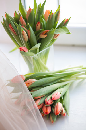 beautiful coral tulip flowers bouquet in vaseの写真素材