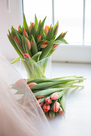 beautiful coral tulip flowers bouquet in vaseの写真素材