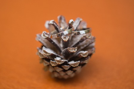 Two wedding rings and spring blossoms. Wedding concept.の写真素材