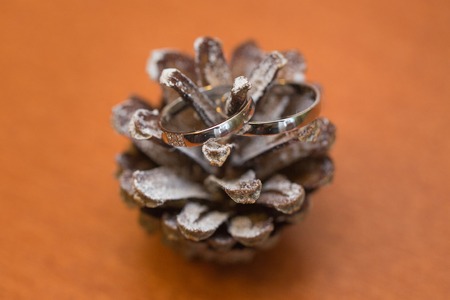 Two wedding rings and spring blossoms. Wedding concept.の写真素材