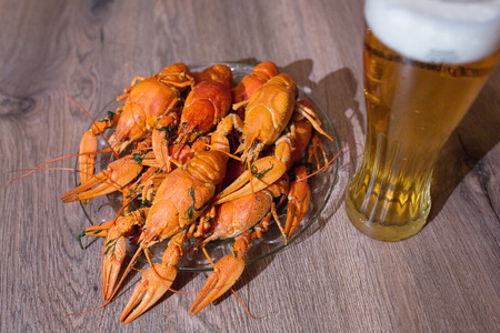 Cancers to beer, dill, boiled crawfish, beer snacks, pubの写真素材