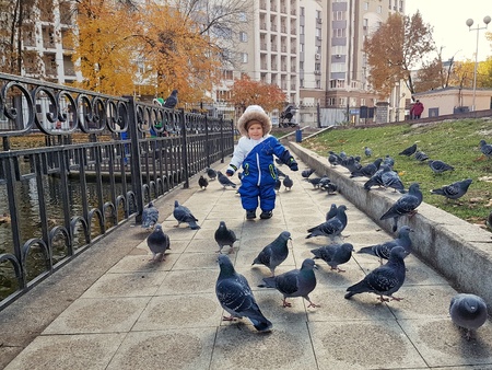 Year-old baby boy walking with doves in the parkの写真素材