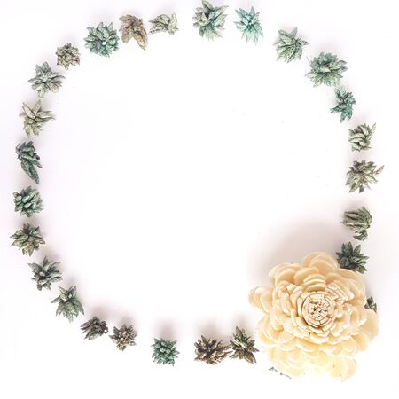 Top view of frame with green dried leaves, pine cone, branches. Floral pattern isolated on white background, flat lay. Flowers frame wreath, view from aboveの写真素材