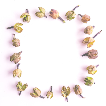 Top view of frame with green dried leaves, branches, inflorescence. Floral pattern isolated on white background, flat lay. Flowers frame wreath, view from aboveの写真素材