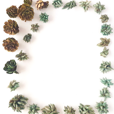 Top view of frame with green dried leaves, pine cone, branches. Floral pattern isolated on white background, flat lay. Flowers frame wreath, view from aboveの写真素材