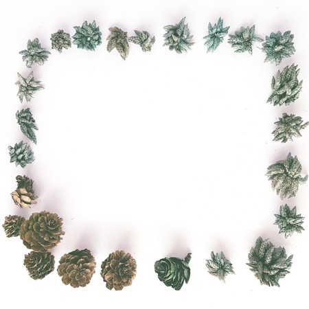Top view of frame with green dried leaves, pine cone, branches. Floral pattern isolated on white background, flat lay. Flowers frame wreath, view from aboveの写真素材