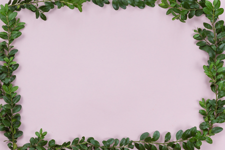 Top view and flat lay of green leaves frame on white pink background.の写真素材