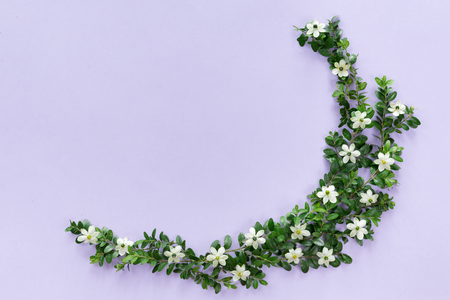 View from above of wreath of flowers background, flat lay with copy spaceの写真素材