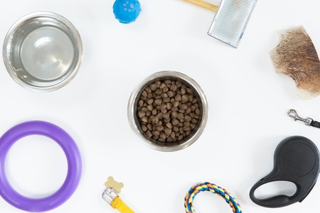 Top view of dry dog food in bowl on white background, flat layの写真素材