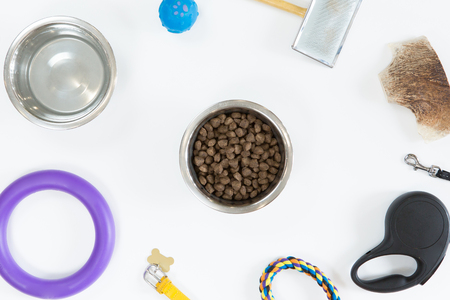 Top view of dry dog food in bowl on white background, flat layの写真素材