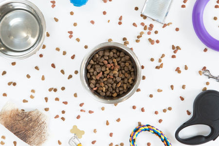 Top view of dry dog food in bowl on white background, flat layの写真素材