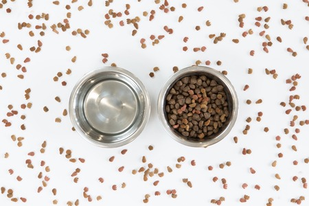 Top view of dry dog food in bowl on white background, flat layの写真素材